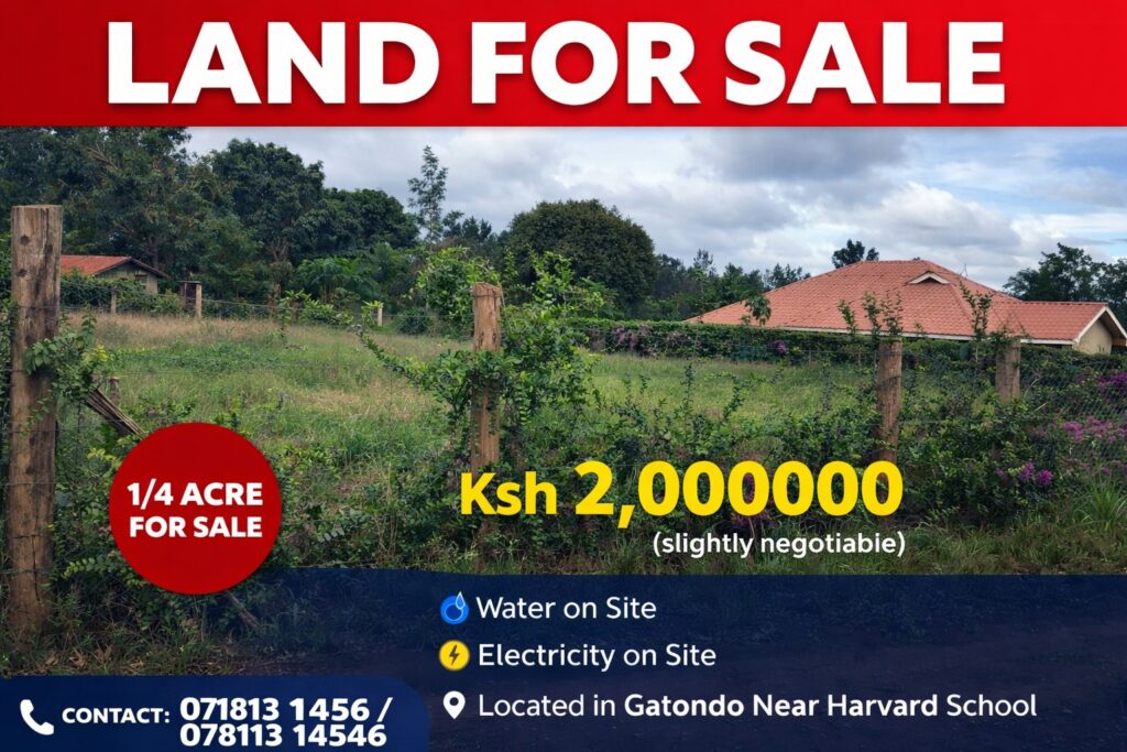 land for sale